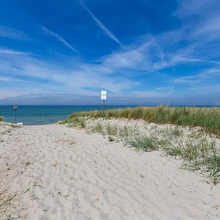 Strandläufer 02
