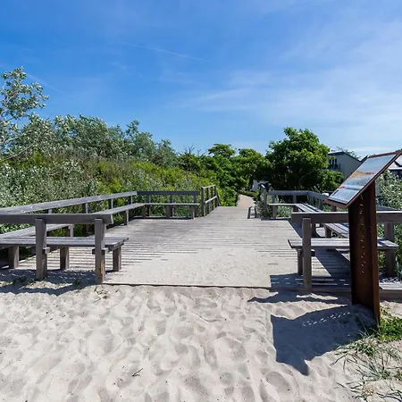 Strandläufer 02 *